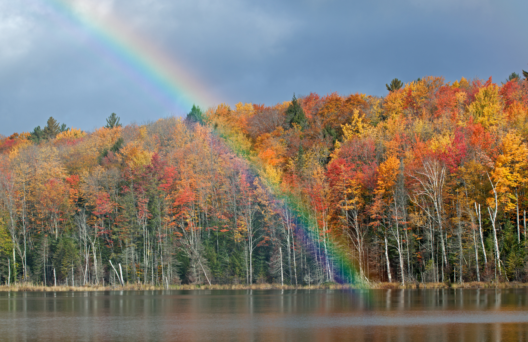 Rainbow at autumn
